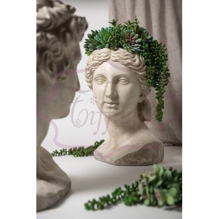 PORTAPIANTA PC. VENERE DI...
